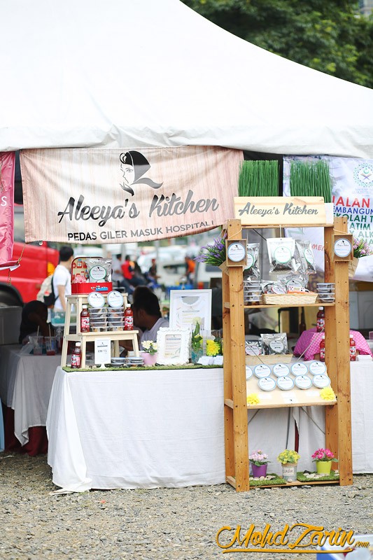 Putrajaya International Hot Air Balloon Fiesta 2015