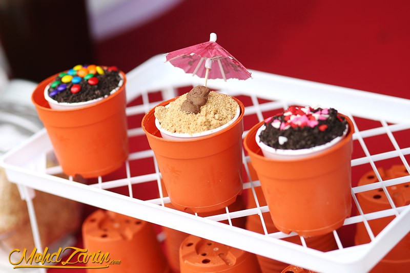 Putrajaya International Hot Air Balloon Fiesta 2015