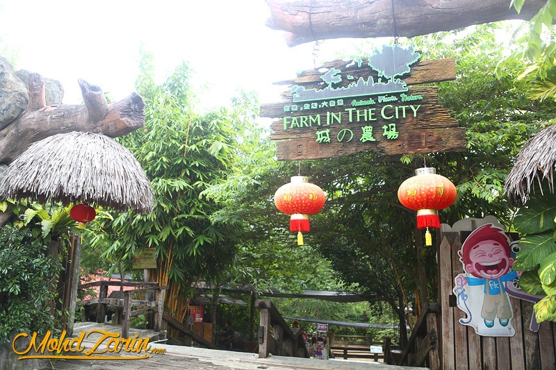 Farm In The City
